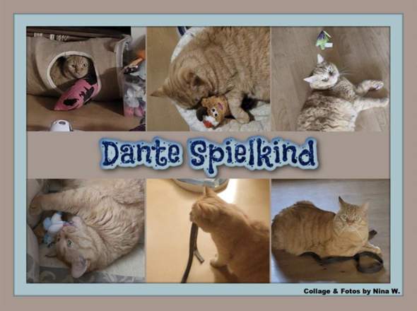 Bild zum Beitrag