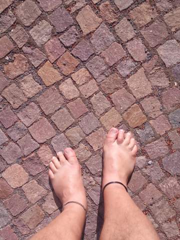 Bild zum Beitrag