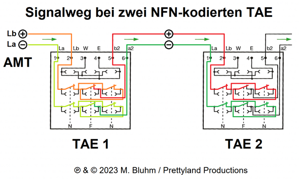 Bild zum Beitrag