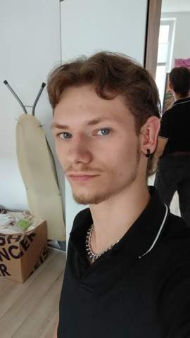 Bild zum Beitrag