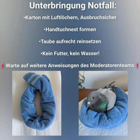 Bild zum Beitrag