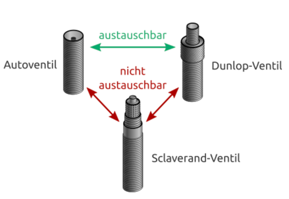 Bild zum Beitrag