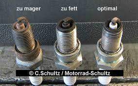 Bild zum Beitrag