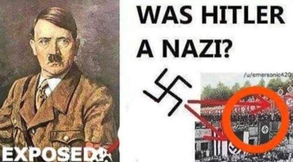 Bild zum Beitrag