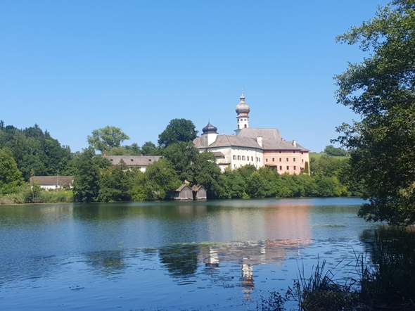 Bild zum Beitrag