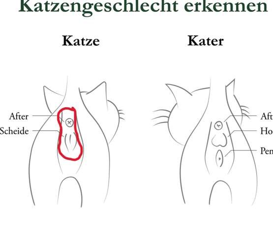 Bild zum Beitrag