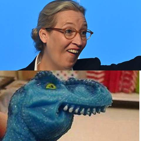 - (Politik, Deutschland, AfD)
