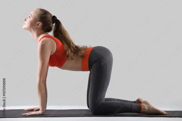 - (Sport, Fitness, Training)