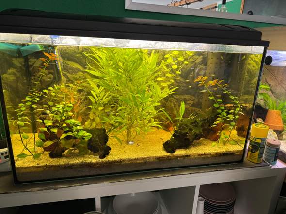 - (Wasser, Aquarium, Tierhaltung)