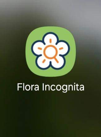 - (iPhone, App, Facebook)
