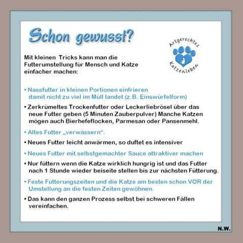 Bild zum Beitrag