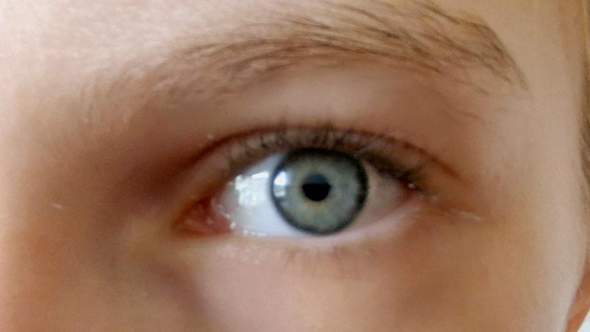 Bild zum Beitrag