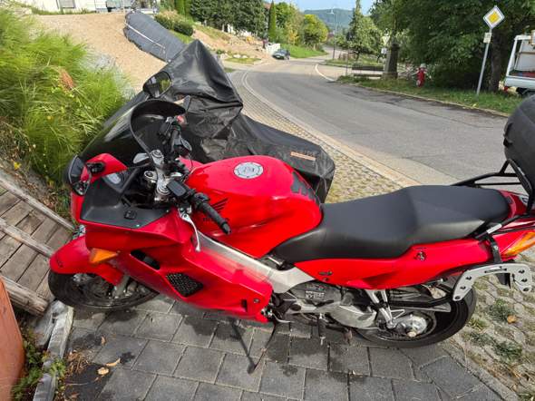 Bild zum Beitrag