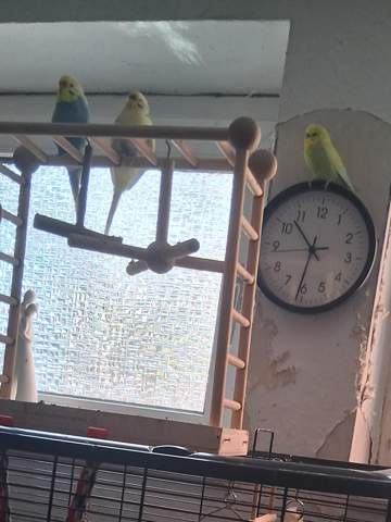 Bild zum Beitrag
