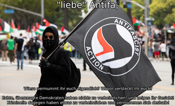 Bild zum Beitrag