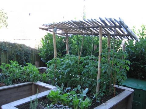Hochbeet mit Tomatendach - (Holz, öko, gartenbau)