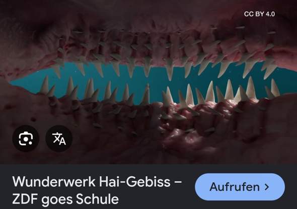 Bild zum Beitrag