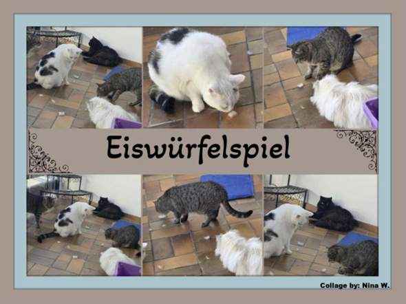 Bild zum Beitrag