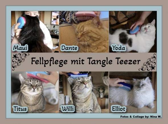 Bild zum Beitrag