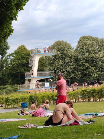Bild zum Beitrag