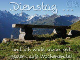 Bild zum Beitrag