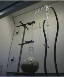 Destillation von Kamillenblüten zur Wirkstoffgewinnung (Azulen) - (Gesundheit, Medizin, Alkohol)