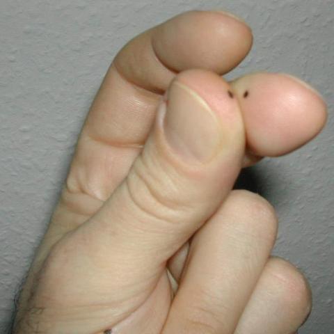 3. Fingerstellung am Anfang (Quelle: GF/electrician) - (Physik, Biologie, Geschwindigkeit)