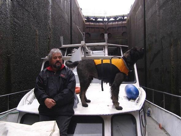 Bandit und auf dem Boot - (Hund, Katze, Anatomie)