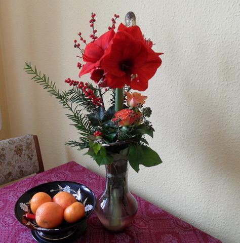 Amaryllis als Schnittblume - (Pflanzen, Garten, Blumen)