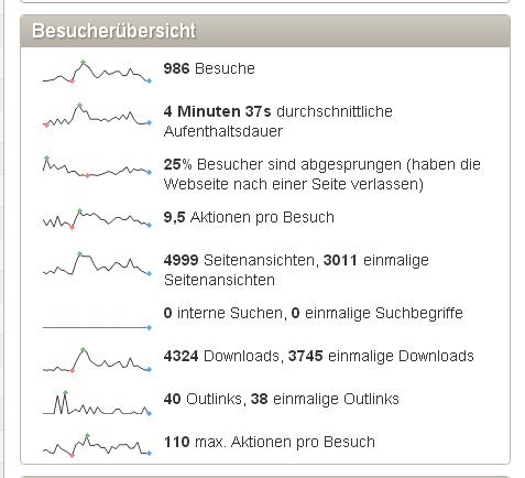 Piwik Auswertung - (Website, Statistik, hits)