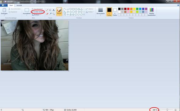 Screenshot - (picasa 3, T-online Mail)