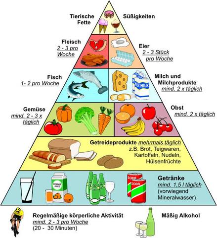 Danach kannst du dich richten, wenn du gesund und fit sein willst - (Gesundheit, Ernährung, Körper)