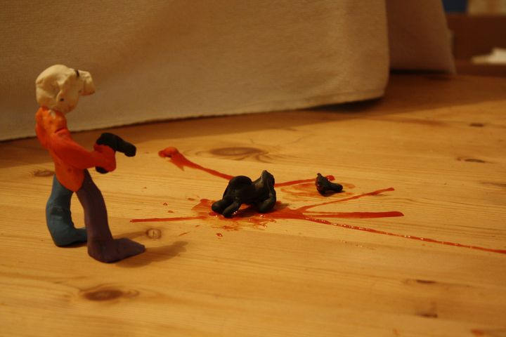 stop motion gift ideas