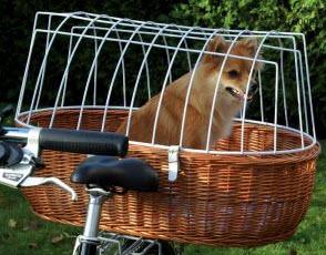 Hunde Fahrradkorb - (Freizeit, Hund, Fahrrad)