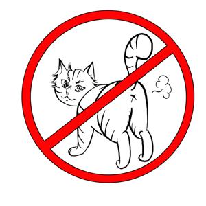 Katzen Freigang Verbot