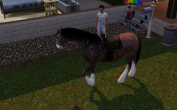 Kaltblut, ich glaub ein Shire Horse ^^ - (Pferd, Sims 3)