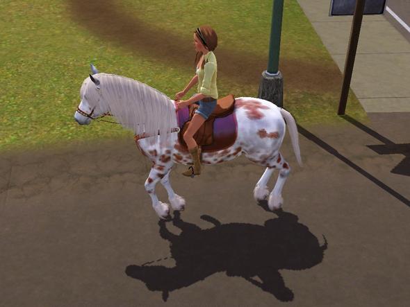 ebenfalls keine Ahnung ^^ - (Pferd, Sims 3)