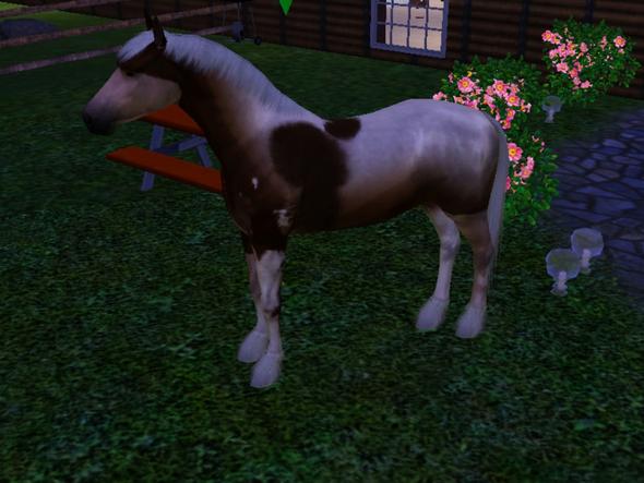 Striker - (Pferd, Sims 3)