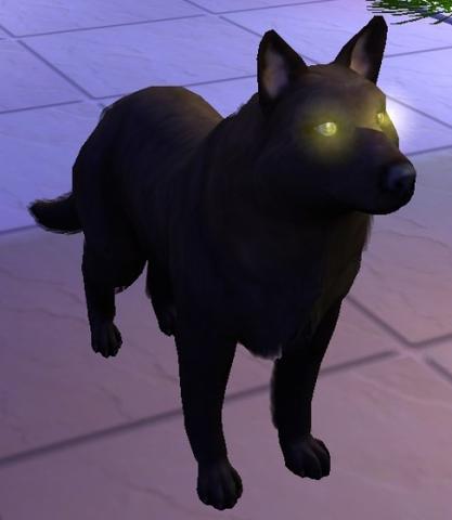 Werwolf - (Cheat, Sims 2, Vampire)