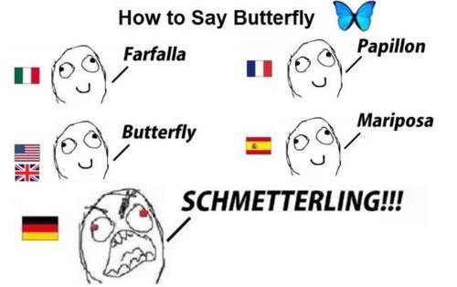 Schmetterling in anderen Ohren - (Deutsch, Sprache, verstehen)