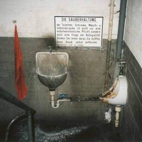 Lustige Sprüche fürs WC (Toilette, lustig)