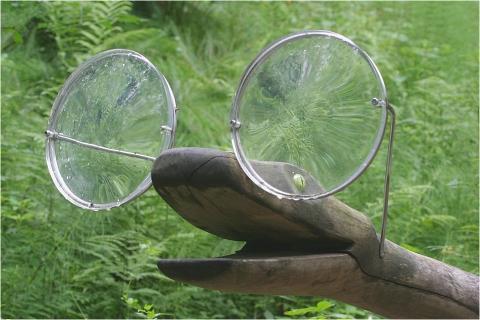 Brillenschlange FALSCH - (brillenschlange)