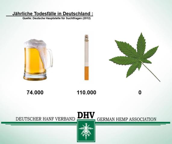 - (Gesundheit, Sport, Leben)
