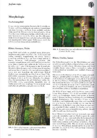 Gerade erst Gerade erst