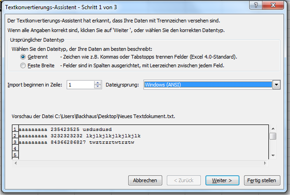 02 - Import Textdatei Schritt 1 - (Computer, PC, Microsoft Excel)