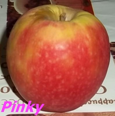 Pinky - (Gesundheit, Ernährung, Natur)