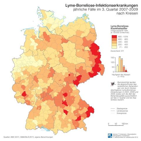 Borreliose - (Körper, Arzt, Zecken)