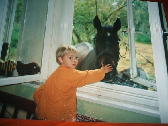 Otto - (Tiere, Pferde, Gesundheit Pferde)