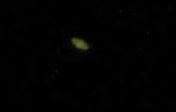 Saturn, sry, etwas verwackelt und klein, im Teleskop war es schärfer und größer - (Astronomie, Galaxy, Planeten)