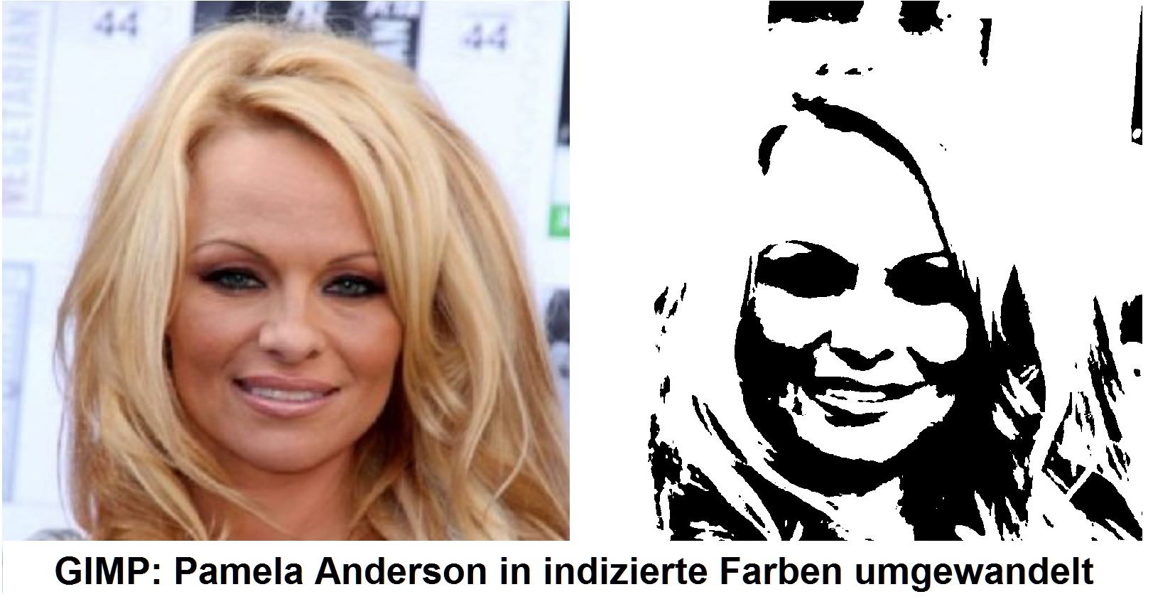 Bildbearbeitung schwarz weiß ohne Graustufen (Programm, Bilder)